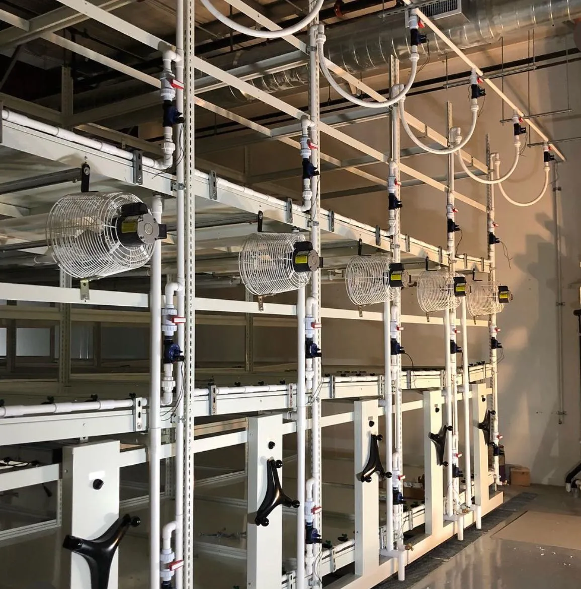 Steel rack framing with drip lines in a smaller facility.