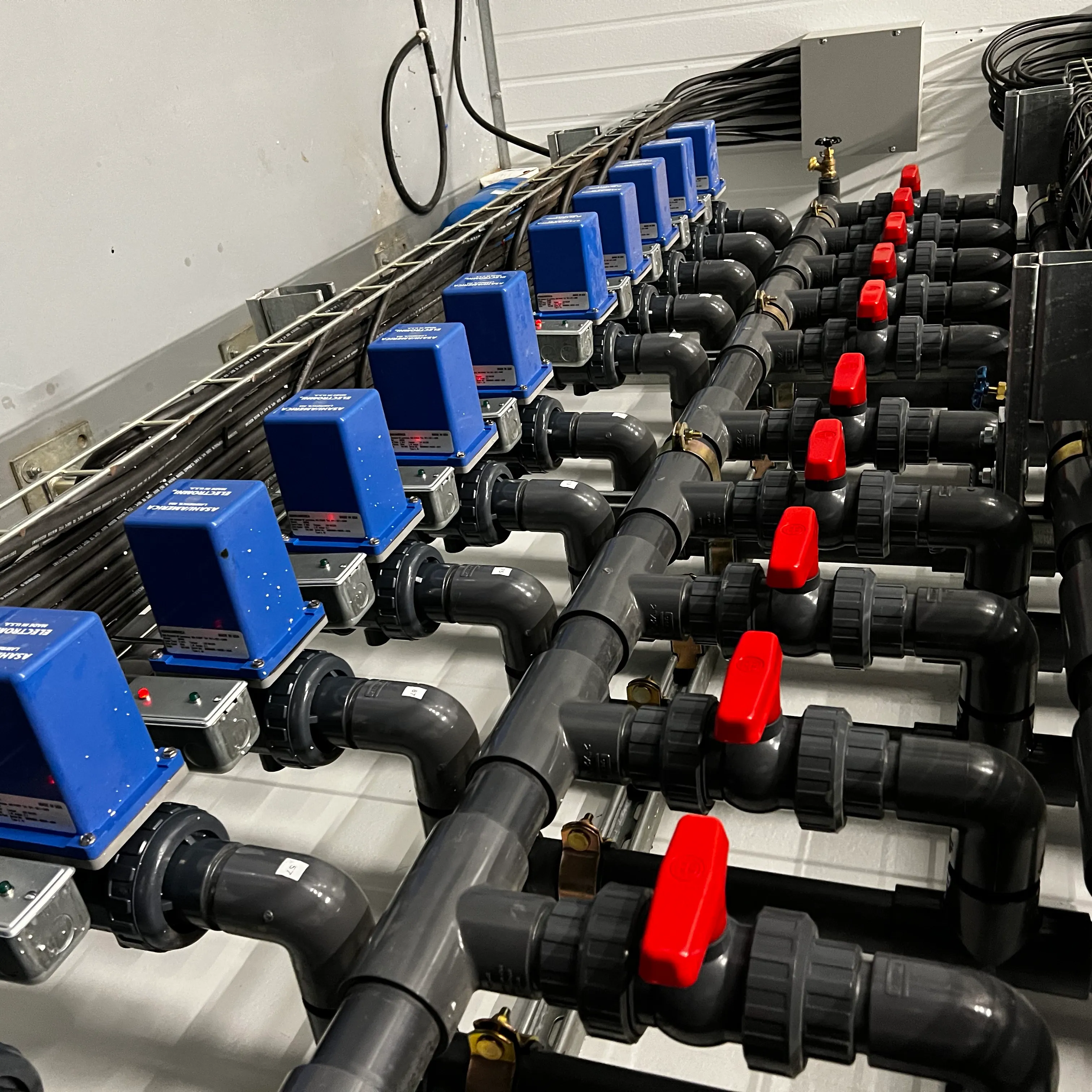 Blue actuators with red true-union valve handles.